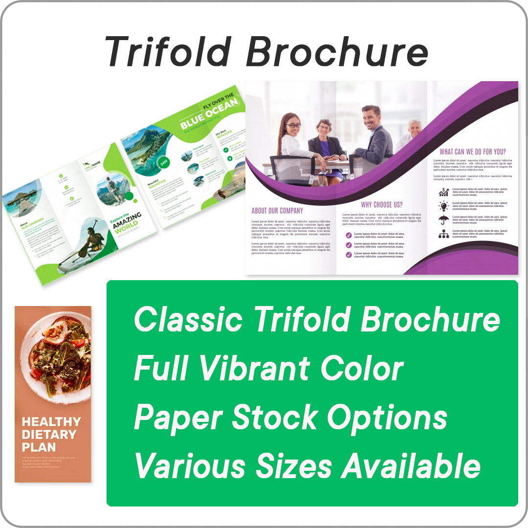 Tri-Fold Brochure Size